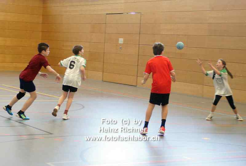 20248 schulhandball.jpg